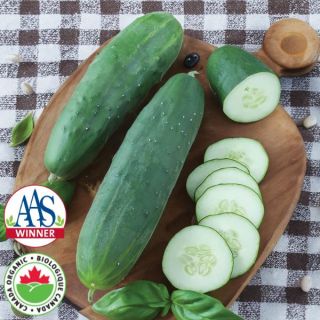 Straight Eight Organic Cucumber Thumbnail